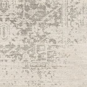 3' 11" x 5' 7"  Distressed Oriental Area Rug in Light Grey / Beige