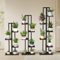 Set of 3, Multifunctional Plant or Display Stands with 4, 5, & 6 Tiers Set of 3, Multifunctional Plant or Display Stands with 4, 5, & 6 Tiers