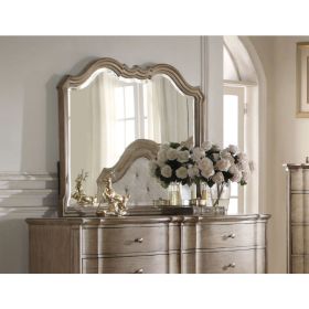 ACME Chelmsford Mirror in Antique Taupe