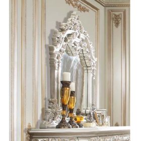 ACME Sandoval Mirror with Champagne Finish