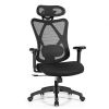 High Back Mesh Executive Chair with Adjustable Lumbar Support